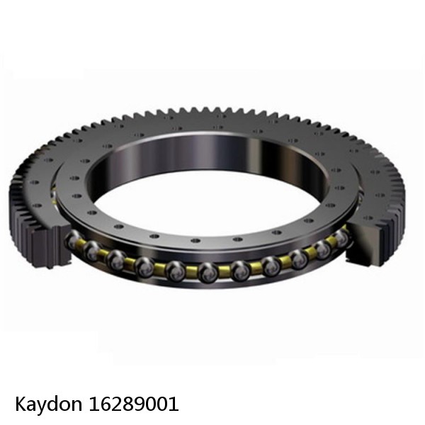 16289001 Kaydon Slewing Ring Bearings #1 small image