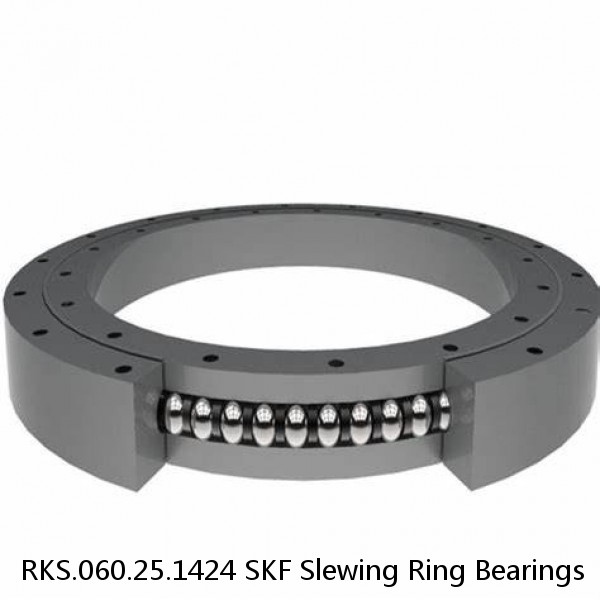 RKS.060.25.1424 SKF Slewing Ring Bearings #1 small image