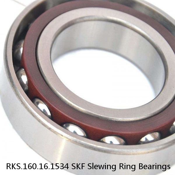 RKS.160.16.1534 SKF Slewing Ring Bearings #1 small image