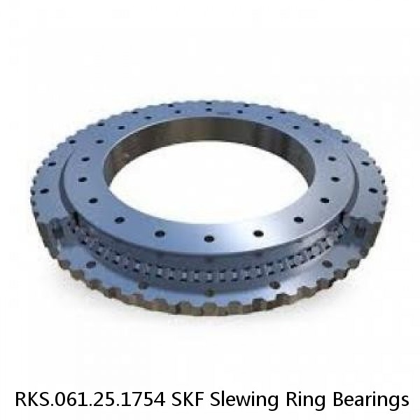 RKS.061.25.1754 SKF Slewing Ring Bearings #1 small image