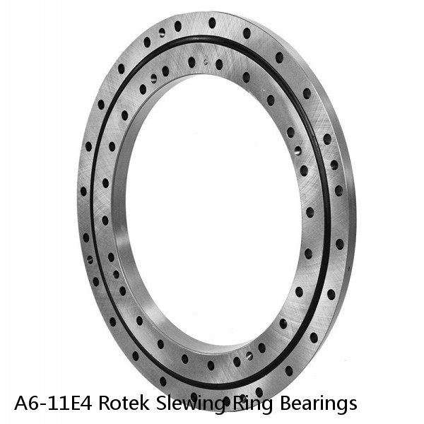 A6-11E4 Rotek Slewing Ring Bearings #1 small image
