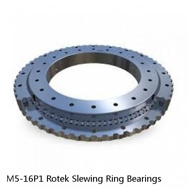 M5-16P1 Rotek Slewing Ring Bearings #1 small image