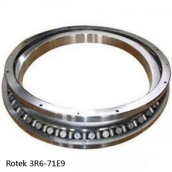 3R6-71E9 Rotek Slewing Ring Bearings