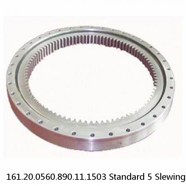161.20.0560.890.11.1503 Standard 5 Slewing Ring Bearings #1 small image