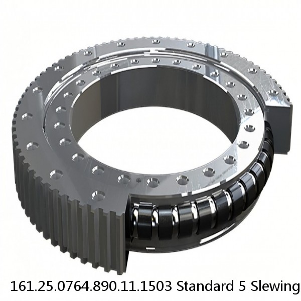 161.25.0764.890.11.1503 Standard 5 Slewing Ring Bearings #1 small image