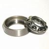 FAG NJ2203-E-TVP2-C3 Cylindrical Roller Bearings #1 small image