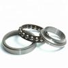 4.724 Inch | 120 Millimeter x 8.465 Inch | 215 Millimeter x 1.575 Inch | 40 Millimeter  CONSOLIDATED BEARING NU-224 C/3  Cylindrical Roller Bearings