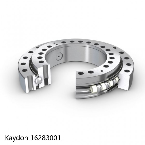 16283001 Kaydon Slewing Ring Bearings #1 image