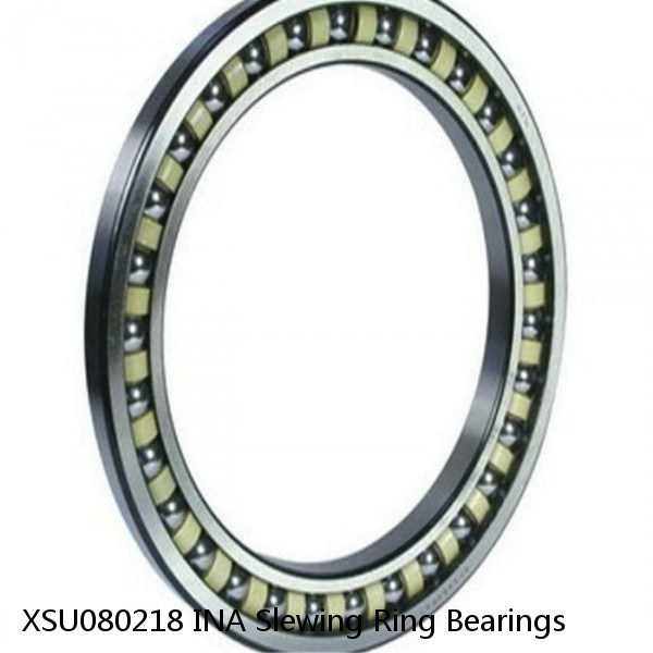 XSU080218 INA Slewing Ring Bearings #1 image