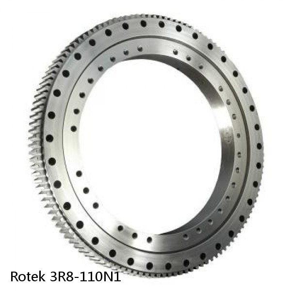 3R8-110N1 Rotek Slewing Ring Bearings #1 image