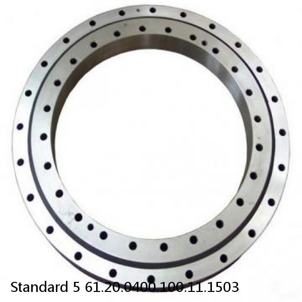 61.20.0400.100.11.1503 Standard 5 Slewing Ring Bearings #1 image