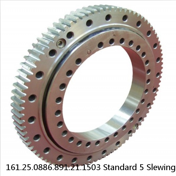 161.25.0886.891.21.1503 Standard 5 Slewing Ring Bearings #1 image
