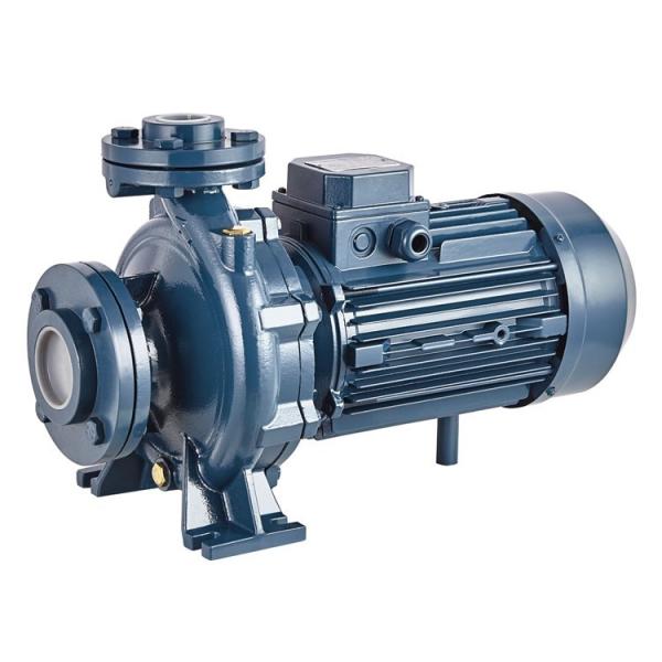 Vickers PV046L1E1BCN0014545 Piston Pump PV Series #1 image